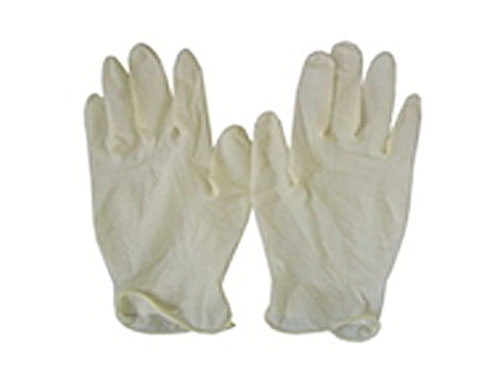 Powder Free / CR LATEX Gloves